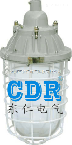 BAD61:bad55,bad55-L150防爆工厂灯 立杆防爆灯-产品报价-乐清市东仁电气科技