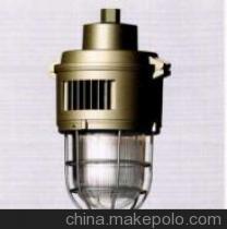 【供应其他SBF-6003防水防尘防腐灯】价格,厂家,图片,防爆灯,洪冠防爆电器-