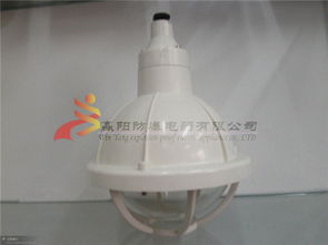 bad51 200增安型防爆灯价格 bad51 200增安型防爆灯型号规格