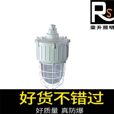bad59防爆无极灯 隔爆型防爆灯