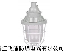 BAD52系列隔爆型防爆灯,隔爆型防爆灯厂家_供应产品_浙江飞浦防爆电器