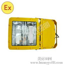 【防爆泛光灯bfc8110厂家直销】-