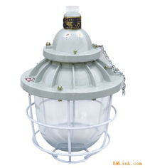 防爆照明解决方案 从BCD到BAD56系列防爆灯与隔爆技术的深度解析